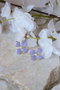 Heliophilia Silver Pendientes de Latón Dorados con Circonio